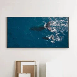 Wandering Whales -Art By Maudsch WanderingWhales 3 e226e136 523a 49c0 8b37 907c7a553175