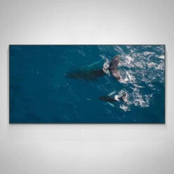 Wandering Whales -Art By Maudsch WanderingWhales 4 c0137be4 0164 4784 ac1a 35cf3d29001a